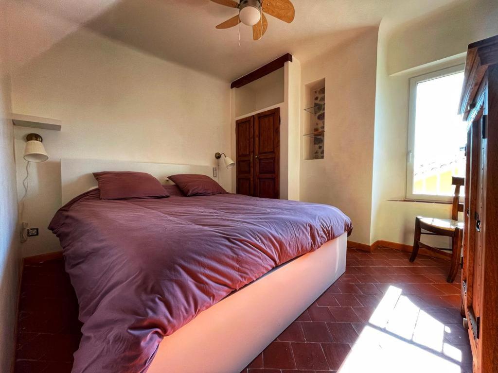La Maison De Lily, Cosy Dans Le Vieux-Hyeres, Parking Gratuit Eksteriør bilde
